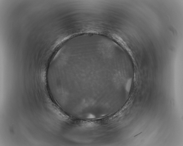 X0000112010249200908241501