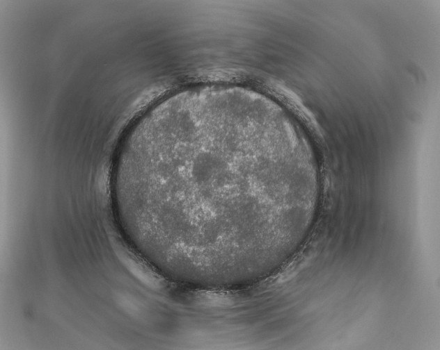 X0000112010250200908241501