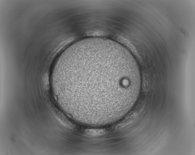 X0000112010251200908241501