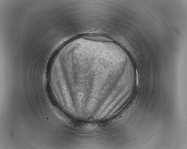 X0000112010252200908241501