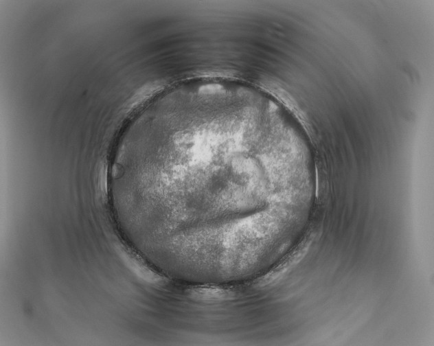 X0000112010253200908241501