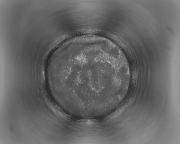 X0000112010254200908241501