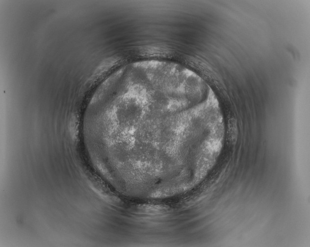 X0000112010255200908241501