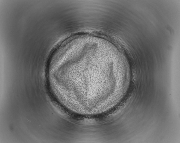 X0000112010256200908241501