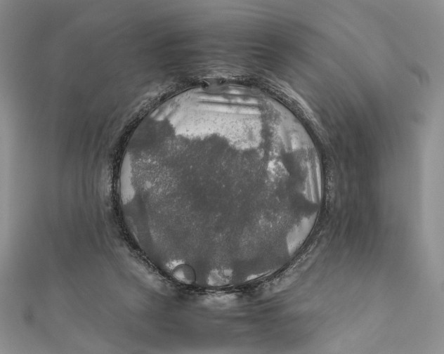 X0000112010257200908241501