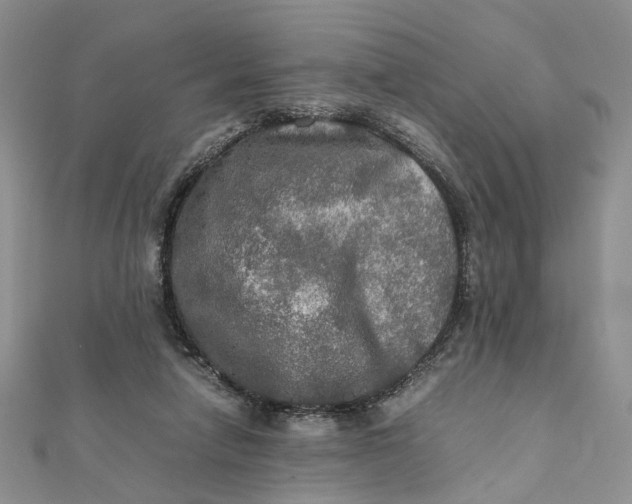 X0000112010258200908241501