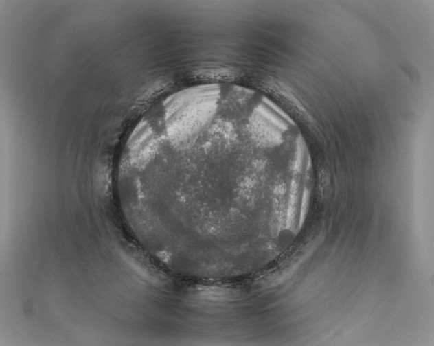 X0000112010259200908241501