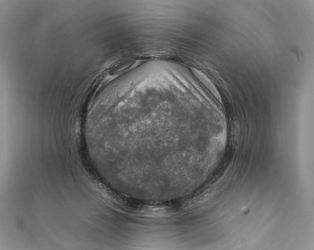 X0000112010260200908241501