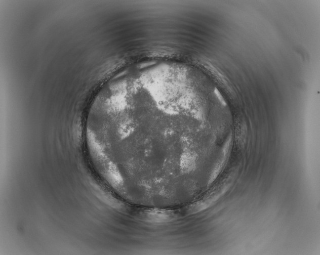 X0000112010261200908241501