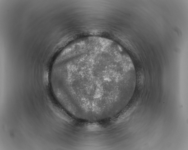 X0000112010262200908241501
