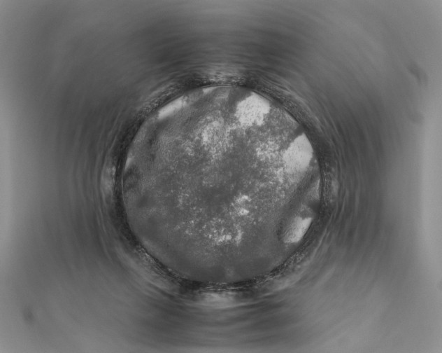X0000112010263200908241501