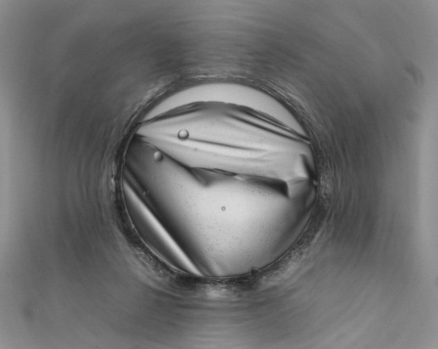 X0000112010264200908241501