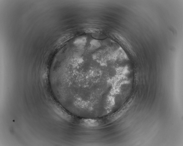 X0000112010265200908241501