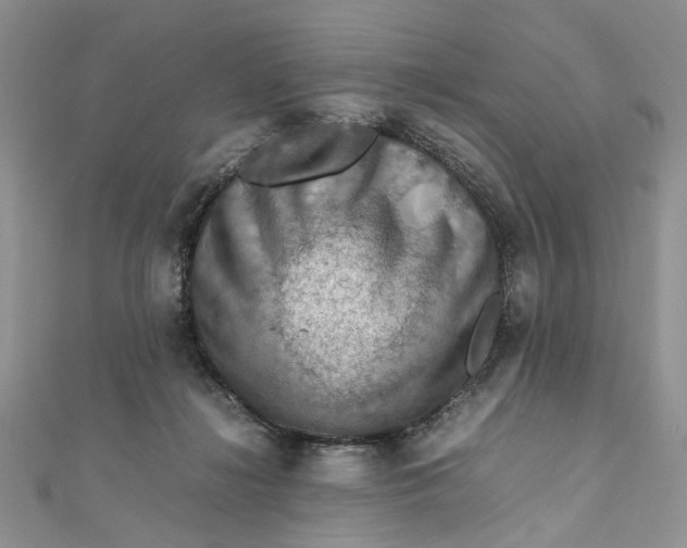 X0000112010268200908241501
