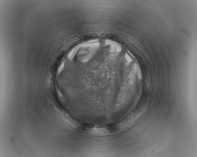 X0000112010270200908241501