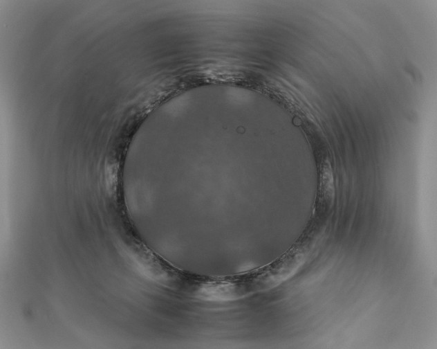 X0000112010271200908241501