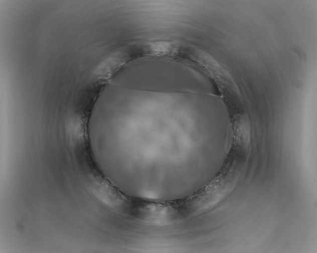 X0000112010272200908241501