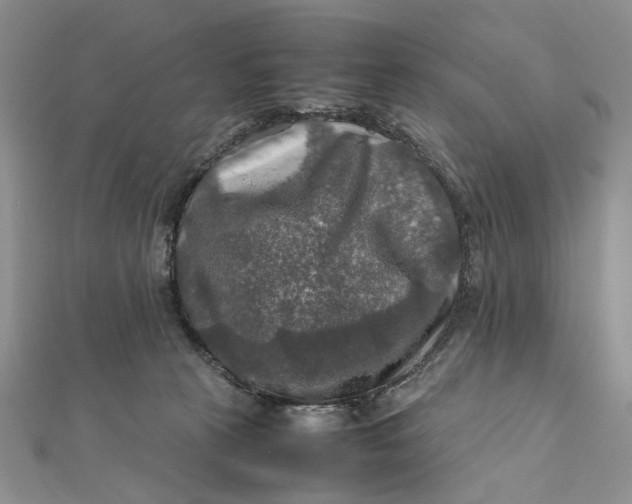 X0000112010273200908241501