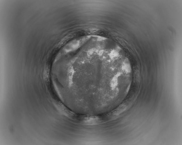 X0000112010274200908241501