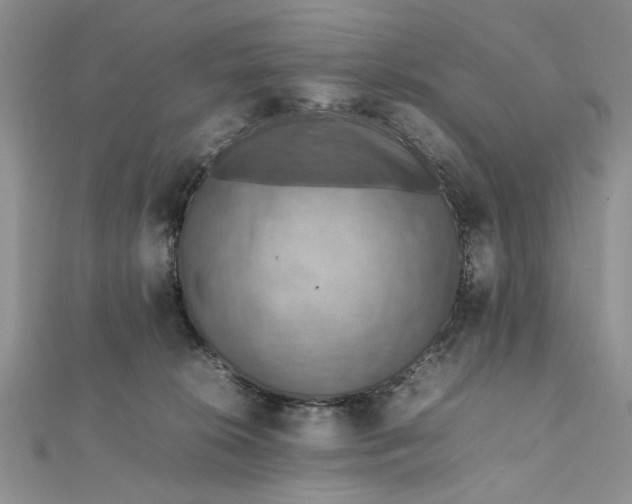 X0000112010276200908241501