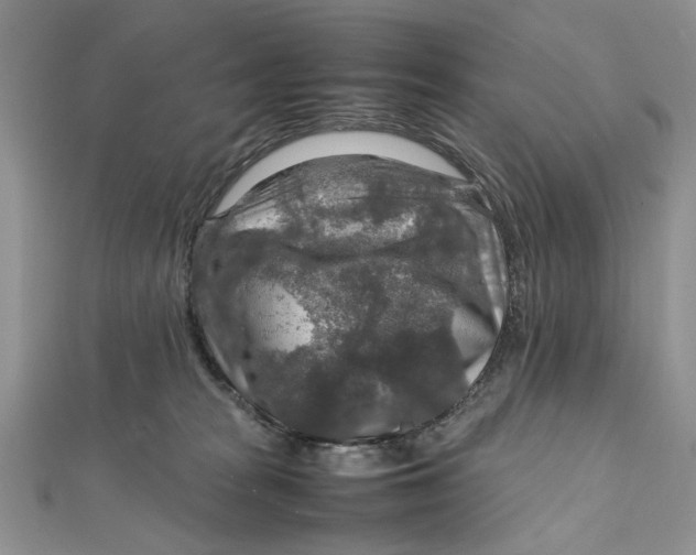 X0000112010277200908241501
