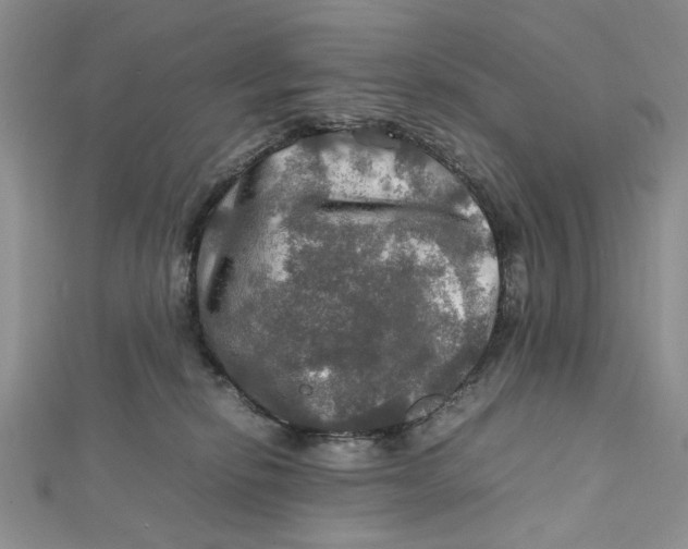 X0000112010278200908241501