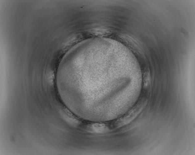 X0000112010279200908241501