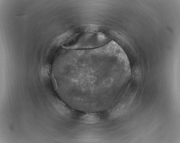 X0000112010280200908241501