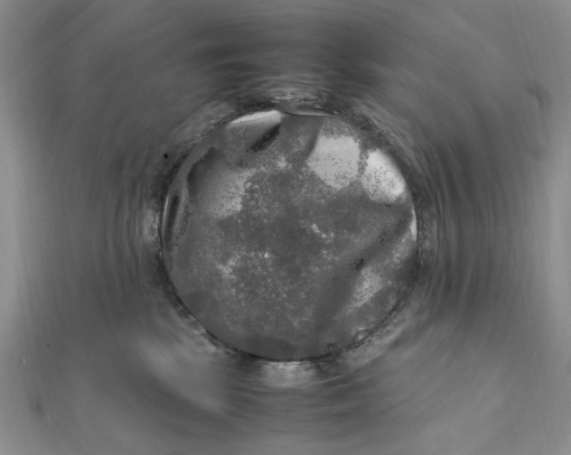 X0000112010281200908241501