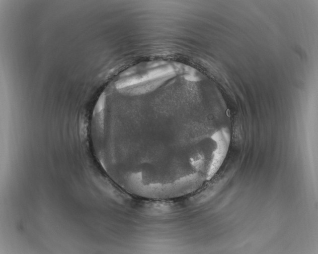 X0000112010282200908241501