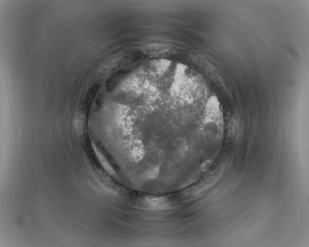 X0000112010283200908241501