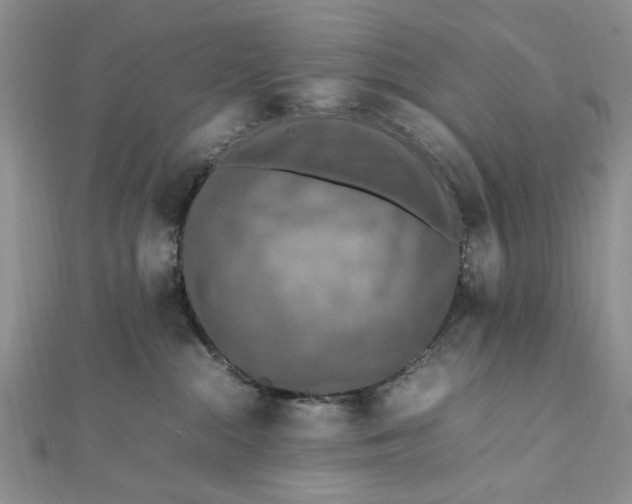 X0000112010284200908241501
