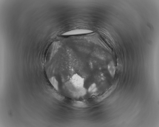 X0000112010285200908241501