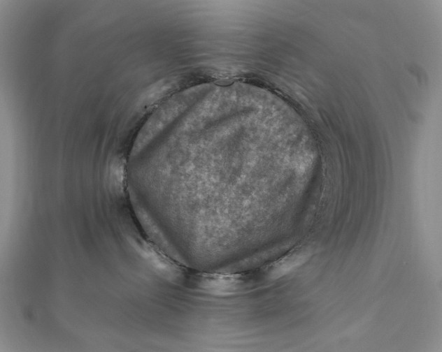 X0000112010288200908241501