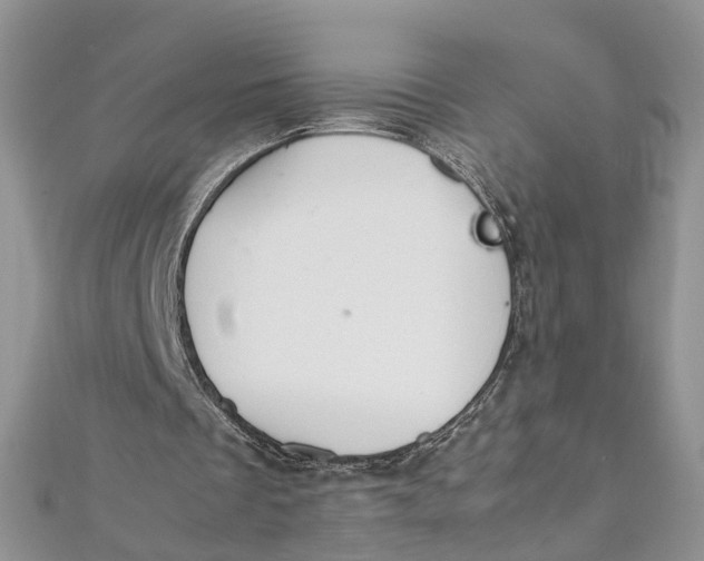 X0000112010289200908241501