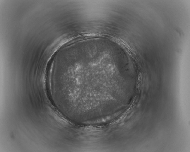 X0000112010290200908241501