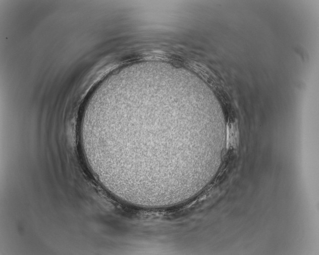 X0000112010291200908241501