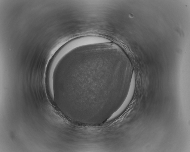 X0000112010292200908241501