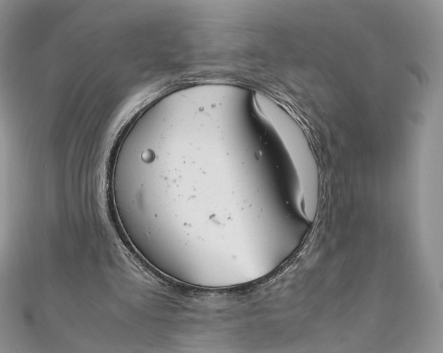 X0000112010293200908241501