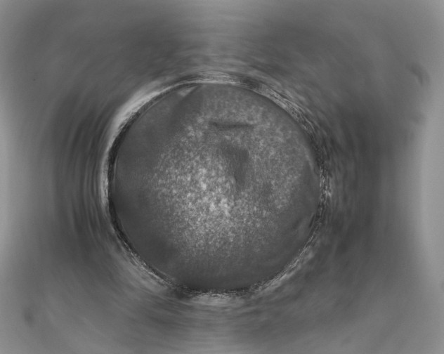 X0000112010294200908241500