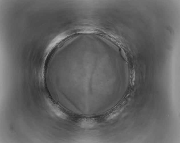 X0000112010296200908241500