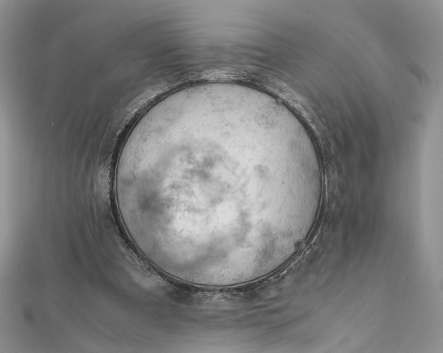 X0000112010297200908241500