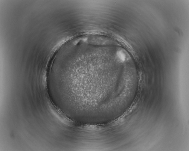 X0000112010298200908241500