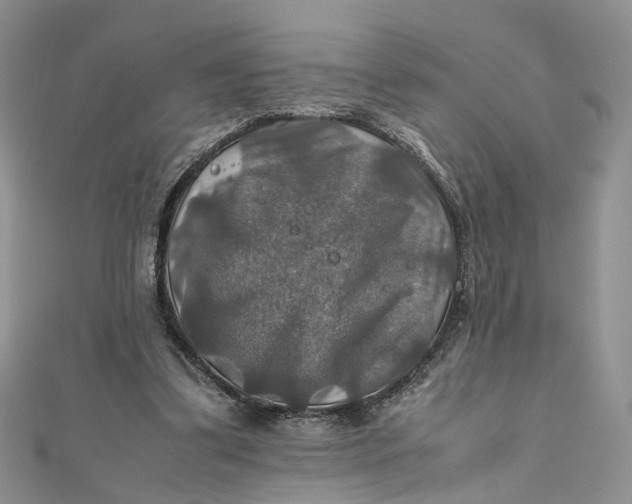 X0000112010299200908241500