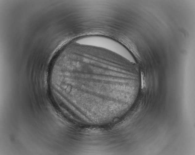 X0000112010300200908241500