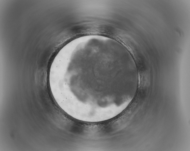 X0000112010301200908241500