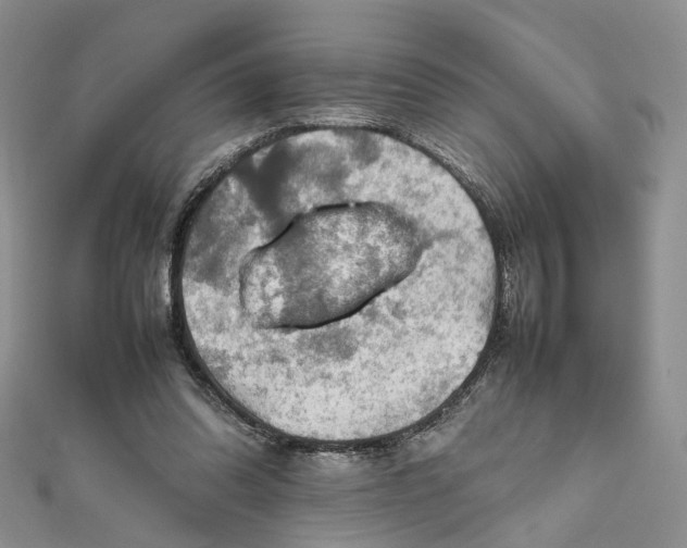 X0000112010302200908241500
