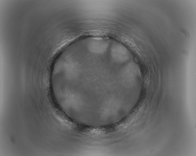 X0000112010303200908241500