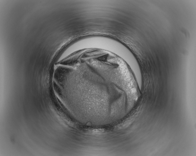 X0000112010304200908241500