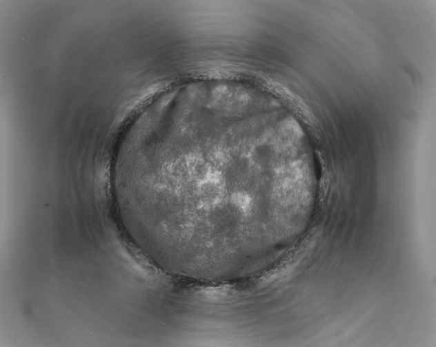 X0000112010306200908241500